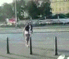 搞笑···挺蛋疼的····