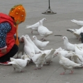 生活如此精彩