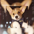 我的相册