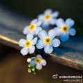 我的相册